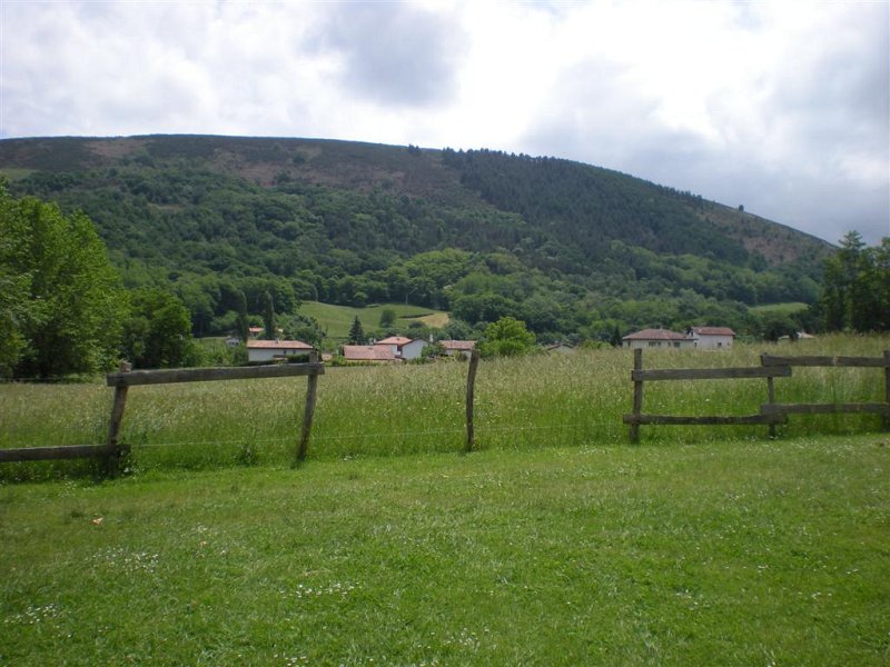 Original image
